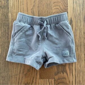 Carter’s Blue Shorts, 9 Months